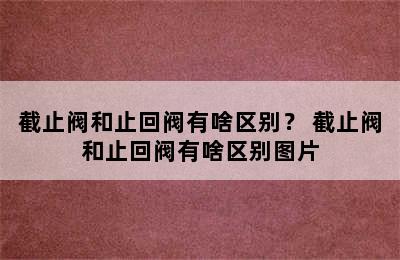 截止阀和止回阀有啥区别？ 截止阀和止回阀有啥区别图片